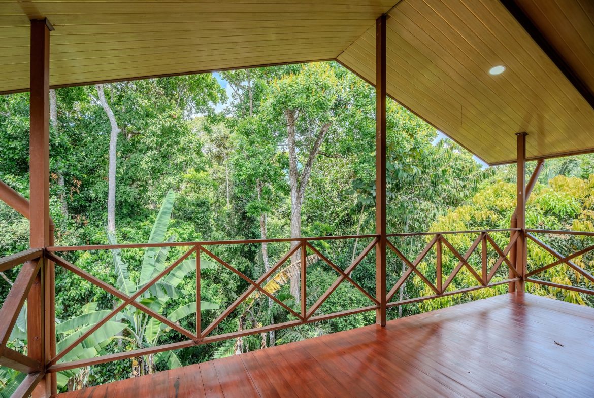 COMMERCIAL PROPERTY WITH FIVE CABINS, IN PEREZ ZELEDON – 46 ACRES