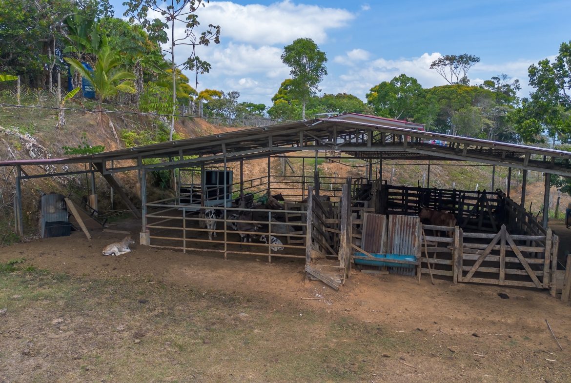 COMMERCIAL PROPERTY WITH FIVE CABINS, IN PEREZ ZELEDON – 46 ACRES