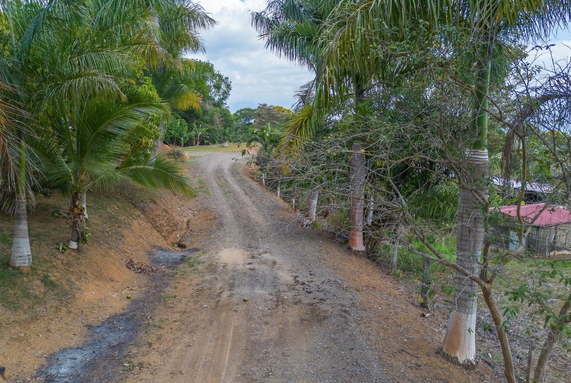 COMMERCIAL PROPERTY WITH FIVE CABINS, IN PEREZ ZELEDON – 46 ACRES
