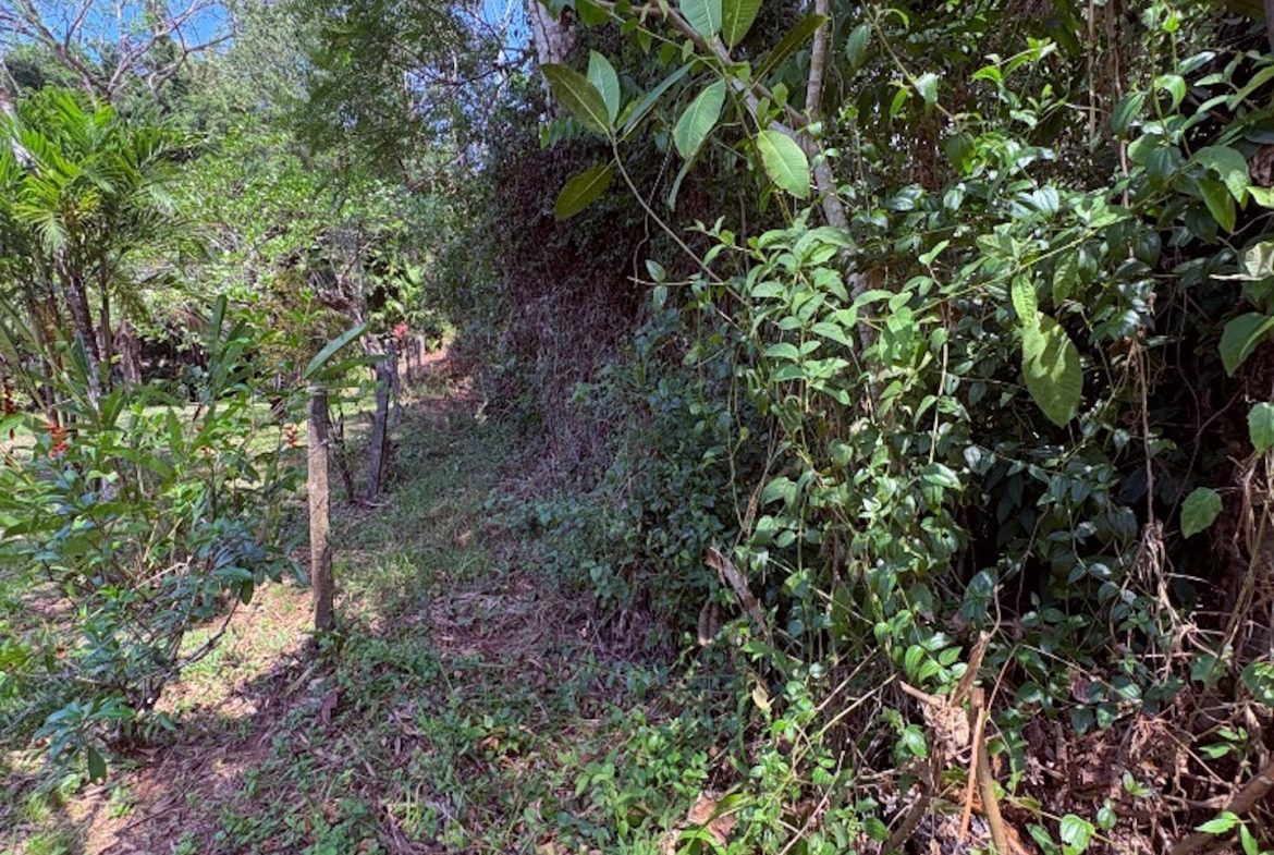 BUILDING PROPERTY WITH PUBLIC ROAD IN FRONT, IN OJOCHAL – 8.32 ACRES
