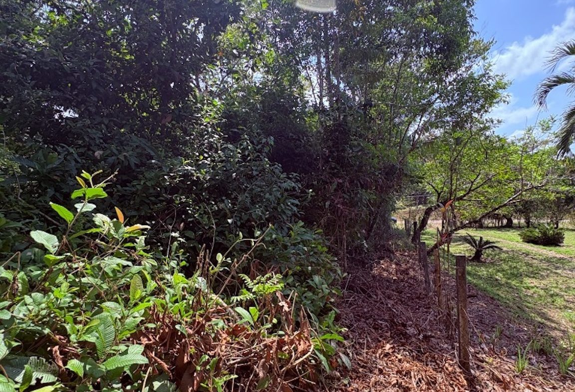 BUILDING PROPERTY WITH PUBLIC ROAD IN FRONT, IN OJOCHAL – 8.32 ACRES