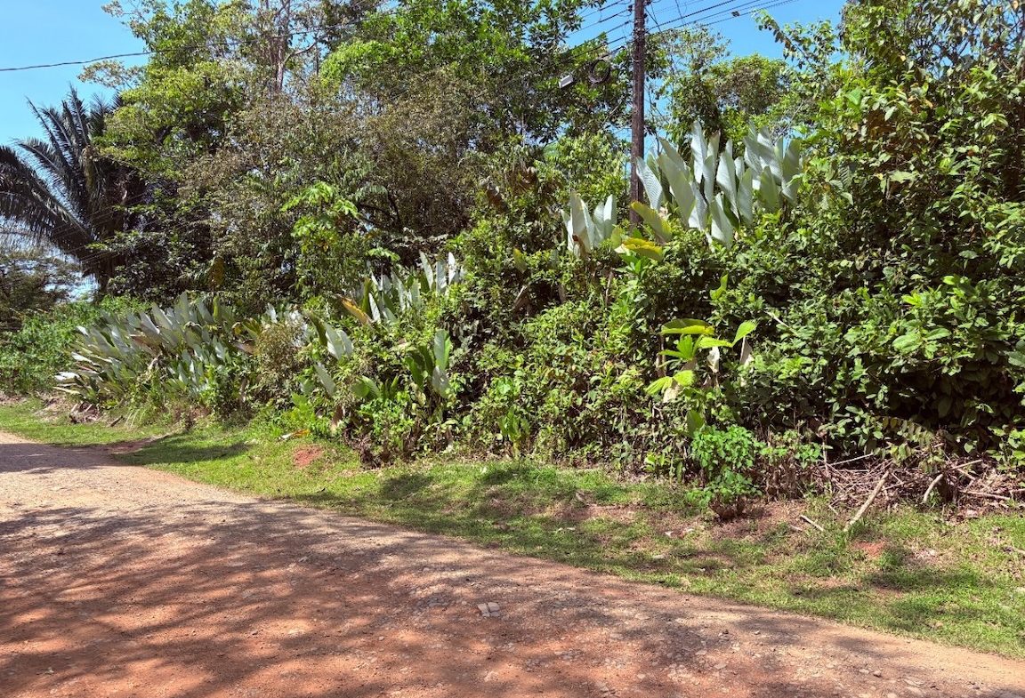 BUILDING PROPERTY WITH PUBLIC ROAD IN FRONT, IN OJOCHAL – 8.32 ACRES