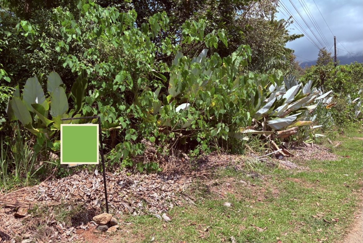 BUILDING PROPERTY WITH PUBLIC ROAD IN FRONT, IN OJOCHAL – 8.32 ACRES
