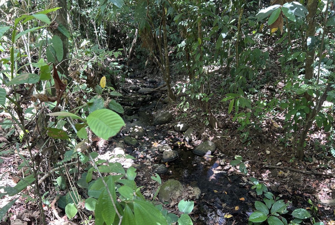 BUILDING PROPERTY WITH A CREEK, IN MATAPALO – 1.24 ACRES