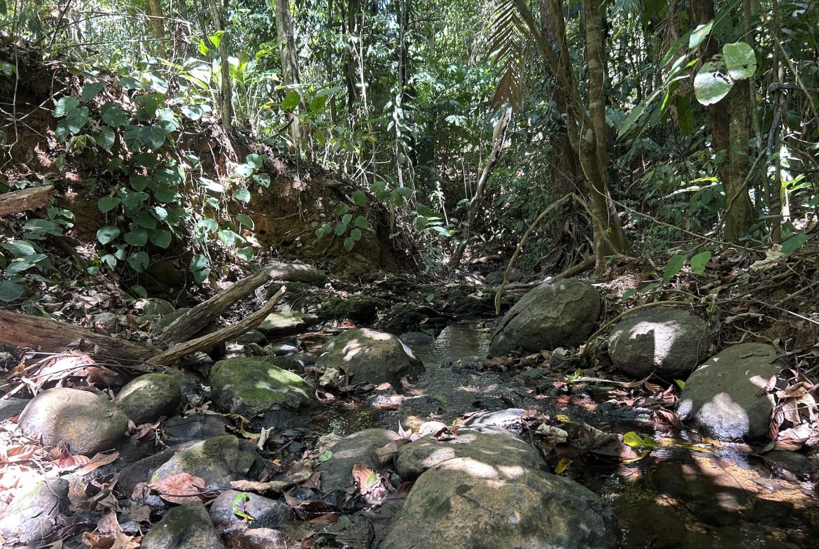 BUILDING PROPERTY WITH A CREEK, IN MATAPALO – 1.24 ACRES