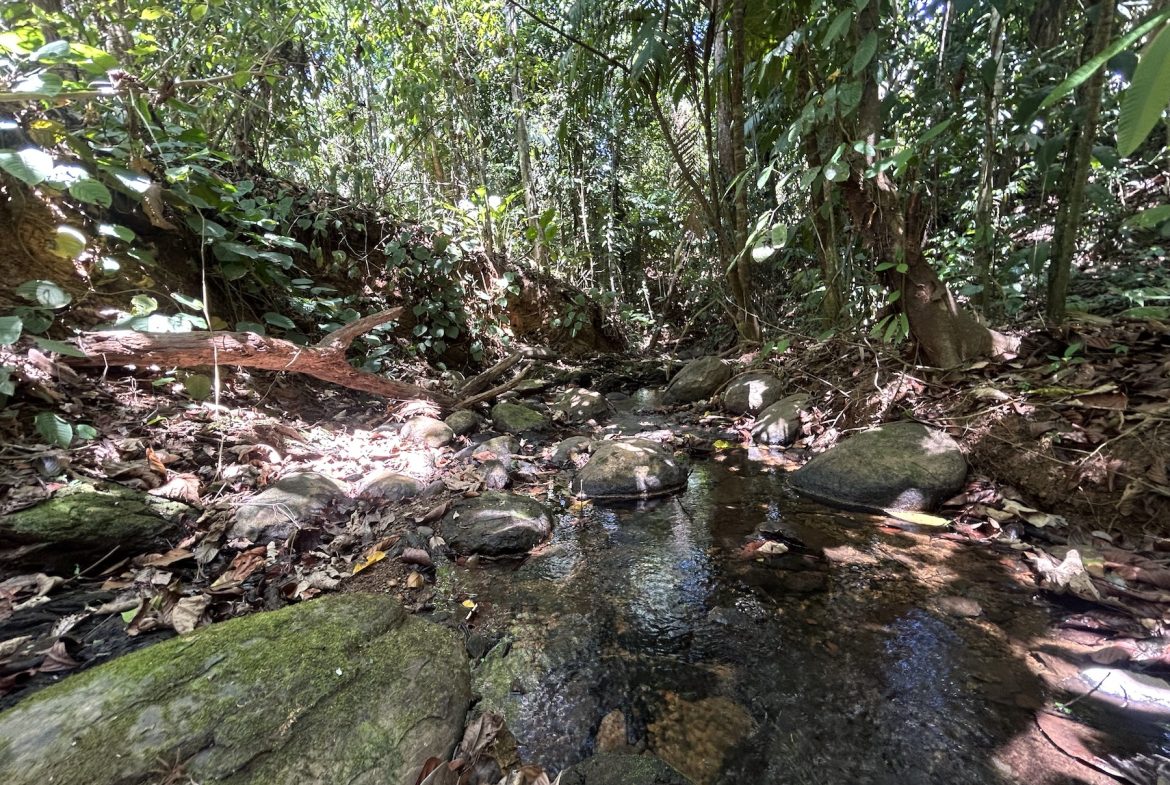BUILDING PROPERTY WITH A CREEK, IN MATAPALO – 1.24 ACRES