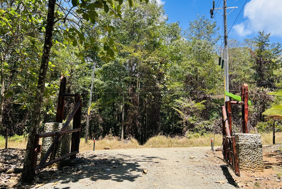 BUILDING PROPERTY WITH A CREEK, IN MATAPALO – 1.24 ACRES