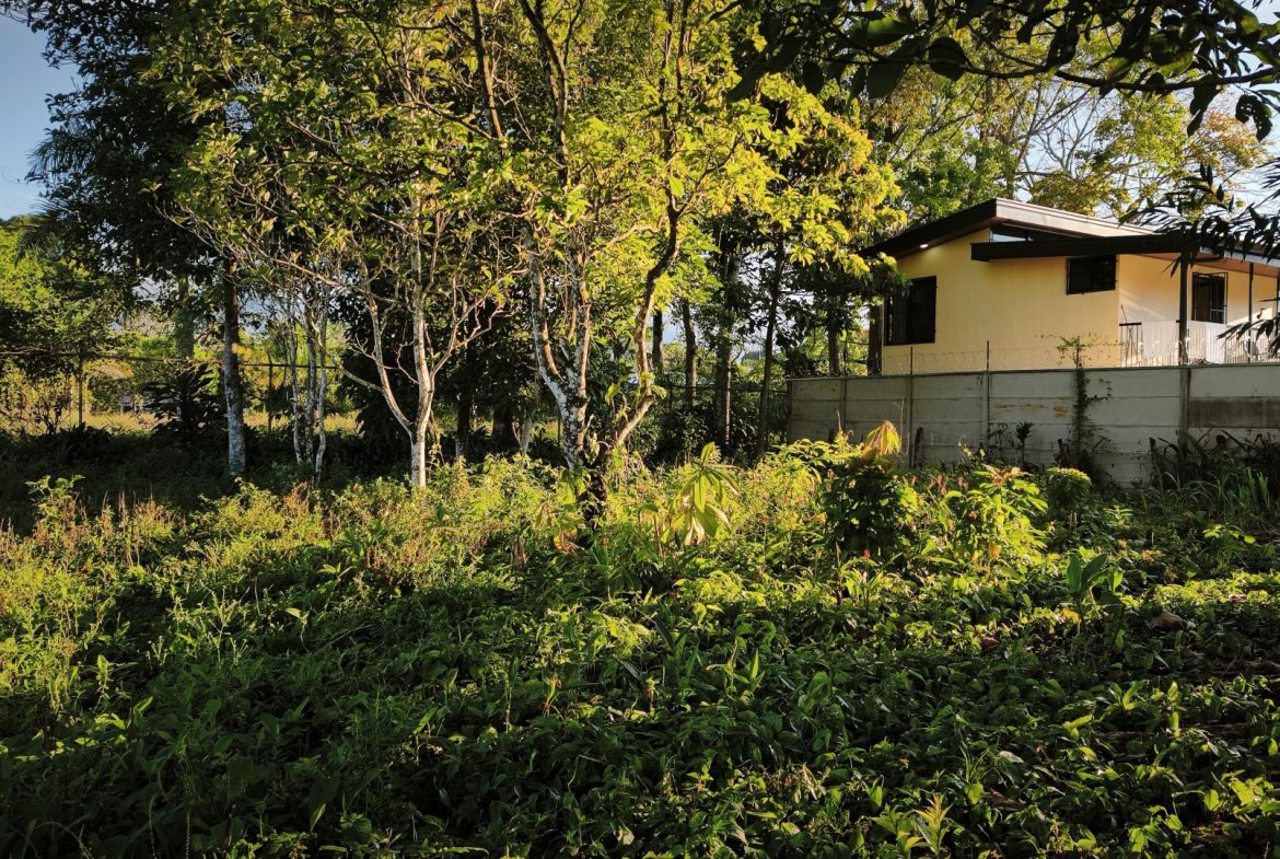 RARE 3.1-ACRE OPPORTUNITY NEAR SAN ISIDRO — PRIME FOR RESIDENTIAL OR COMMERCIAL DEVELOPMENT