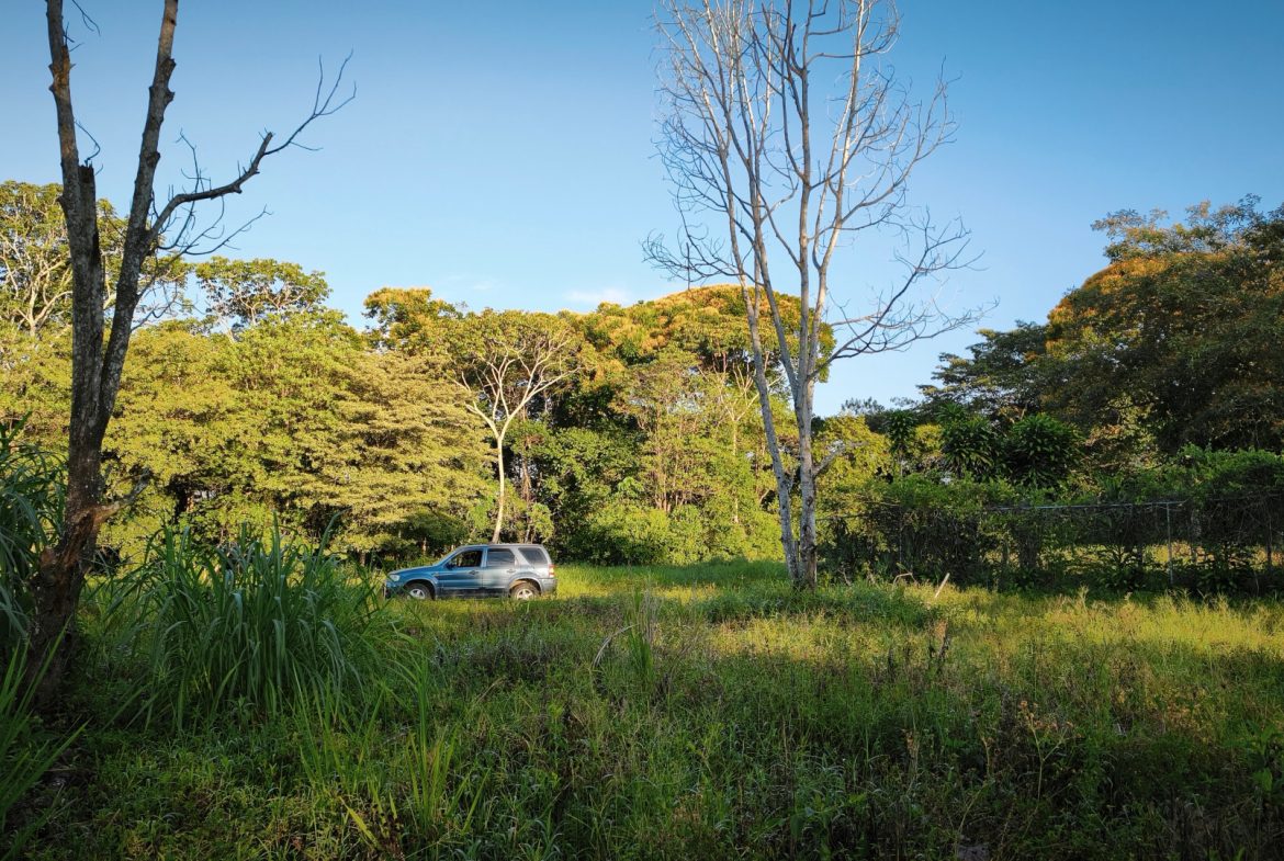 RARE 3.1-ACRE OPPORTUNITY NEAR SAN ISIDRO — PRIME FOR RESIDENTIAL OR COMMERCIAL DEVELOPMENT