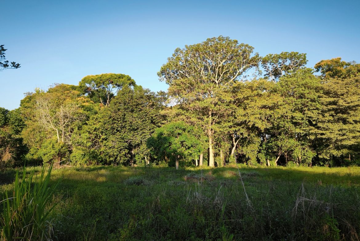 RARE 3.1-ACRE OPPORTUNITY NEAR SAN ISIDRO — PRIME FOR RESIDENTIAL OR COMMERCIAL DEVELOPMENT