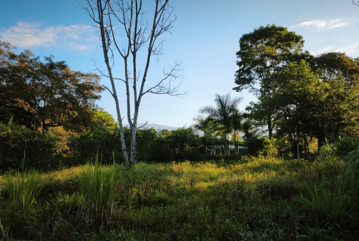 RARE 3.1-ACRE OPPORTUNITY NEAR SAN ISIDRO — PRIME FOR RESIDENTIAL OR COMMERCIAL DEVELOPMENT
