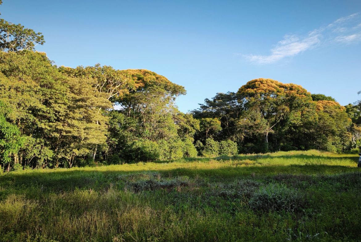 RARE 3.1-ACRE OPPORTUNITY NEAR SAN ISIDRO — PRIME FOR RESIDENTIAL OR COMMERCIAL DEVELOPMENT