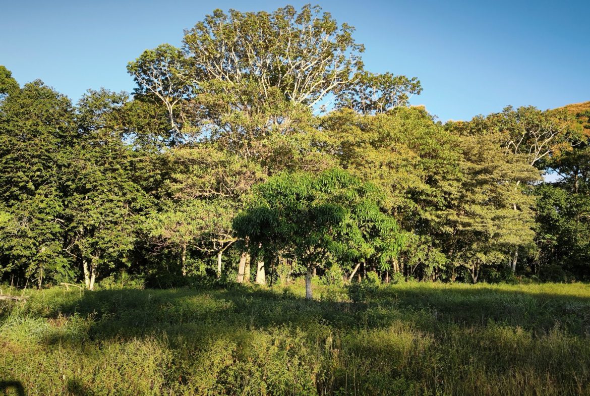 RARE 3.1-ACRE OPPORTUNITY NEAR SAN ISIDRO — PRIME FOR RESIDENTIAL OR COMMERCIAL DEVELOPMENT