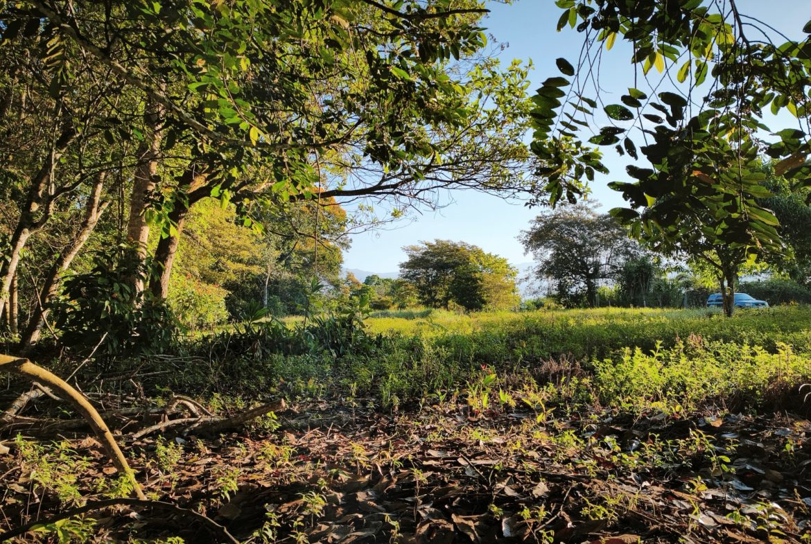 RARE 3.1-ACRE OPPORTUNITY NEAR SAN ISIDRO — PRIME FOR RESIDENTIAL OR COMMERCIAL DEVELOPMENT