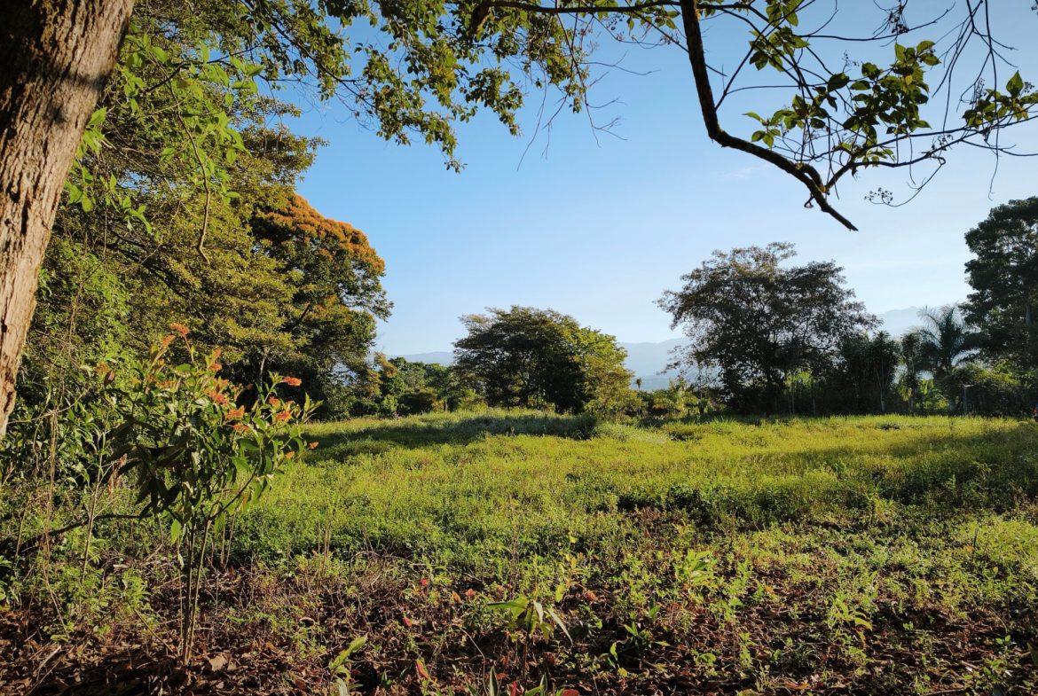 RARE 3.1-ACRE OPPORTUNITY NEAR SAN ISIDRO — PRIME FOR RESIDENTIAL OR COMMERCIAL DEVELOPMENT