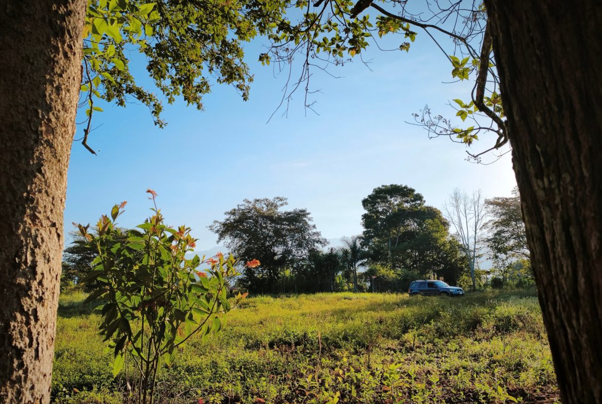 RARE 3.1-ACRE OPPORTUNITY NEAR SAN ISIDRO — PRIME FOR RESIDENTIAL OR COMMERCIAL DEVELOPMENT