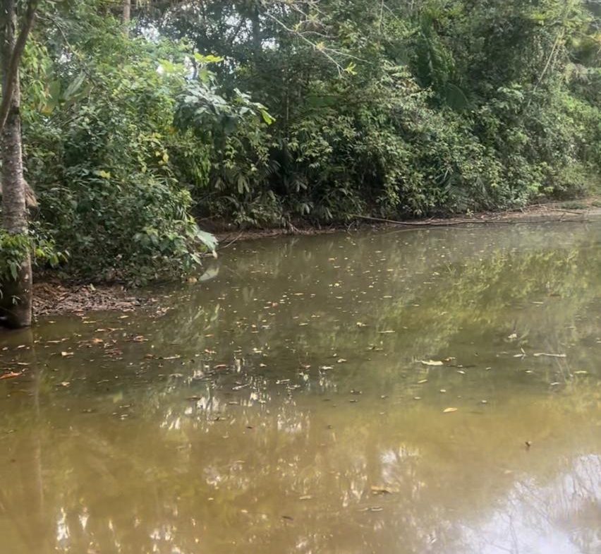 RIVER FRONT, WATERFALLS AND LAGOONS  WITH PRIMARY FOREST  AND OCEAN VIEW WINDOW -598 ACRES RANCH