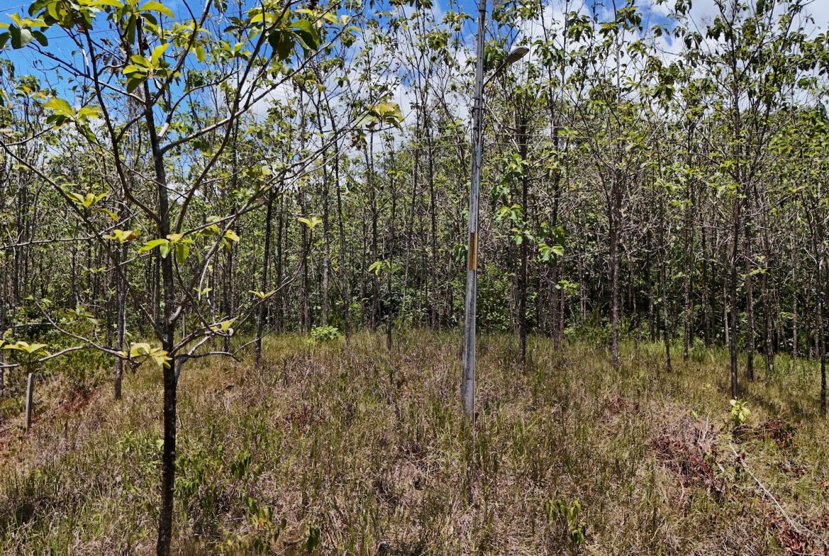 BUILDING PROPERTY WITH A CREEK, IN MATAPALO – 1.24 ACRES