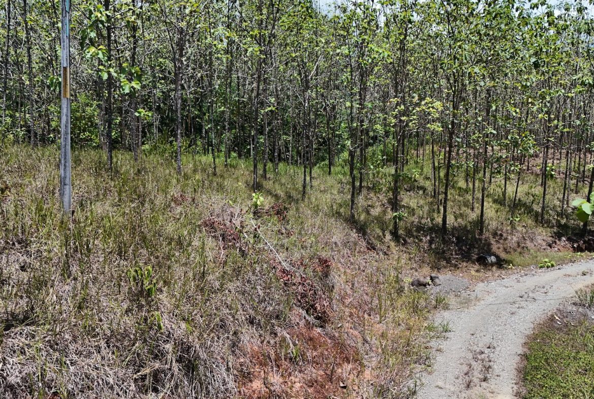 BUILDING PROPERTY WITH A CREEK, IN MATAPALO – 1.24 ACRES
