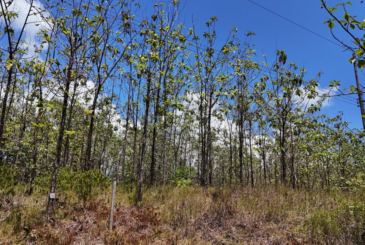 BUILDING PROPERTY WITH A CREEK, IN MATAPALO – 1.24 ACRES