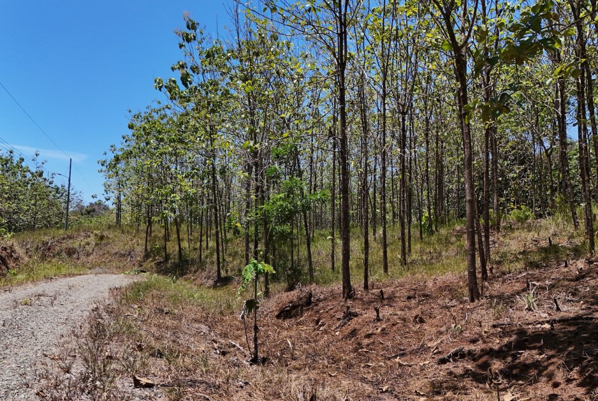 BUILDING PROPERTY WITH A CREEK, IN MATAPALO – 1.24 ACRES