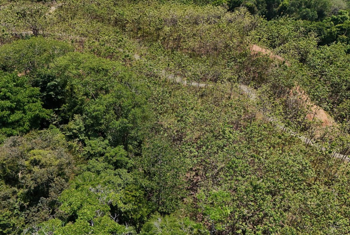 BUILDING PROPERTY WITH A CREEK, IN MATAPALO – 1.24 ACRES