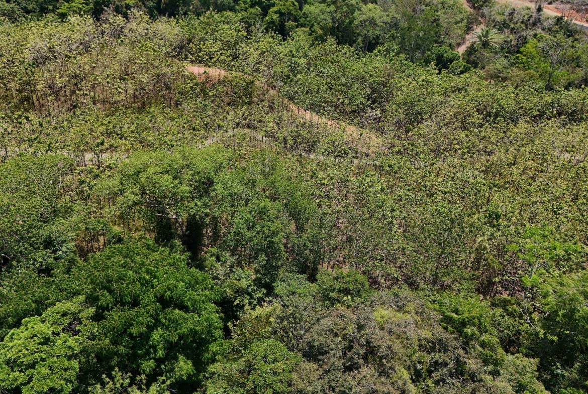 BUILDING PROPERTY WITH A CREEK, IN MATAPALO – 1.24 ACRES