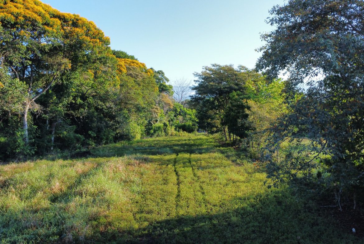 RARE 3.1-ACRE OPPORTUNITY NEAR SAN ISIDRO — PRIME FOR RESIDENTIAL OR COMMERCIAL DEVELOPMENT