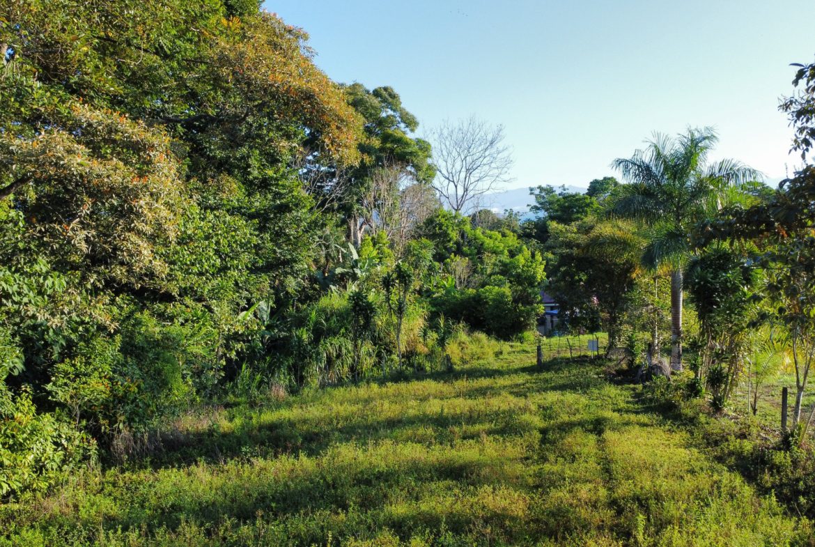 RARE 3.1-ACRE OPPORTUNITY NEAR SAN ISIDRO — PRIME FOR RESIDENTIAL OR COMMERCIAL DEVELOPMENT