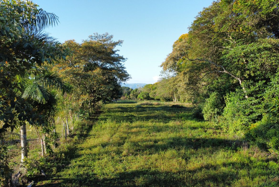 RARE 3.1-ACRE OPPORTUNITY NEAR SAN ISIDRO — PRIME FOR RESIDENTIAL OR COMMERCIAL DEVELOPMENT