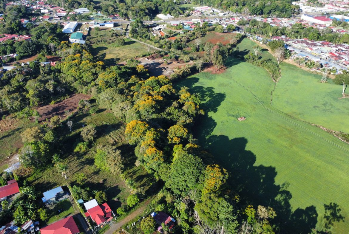 RARE 3.1-ACRE OPPORTUNITY NEAR SAN ISIDRO — PRIME FOR RESIDENTIAL OR COMMERCIAL DEVELOPMENT