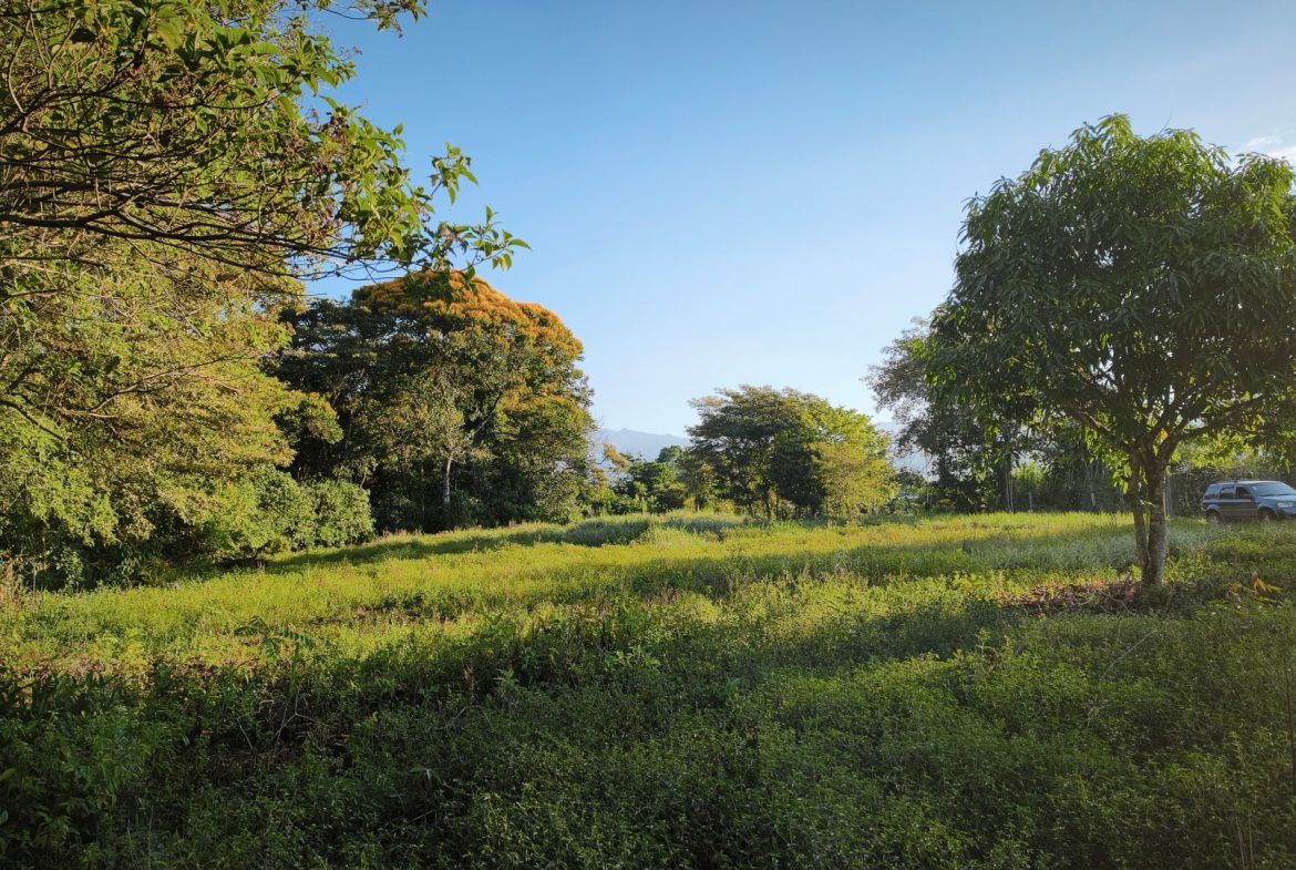 RARE 3.1-ACRE OPPORTUNITY NEAR SAN ISIDRO — PRIME FOR RESIDENTIAL OR COMMERCIAL DEVELOPMENT