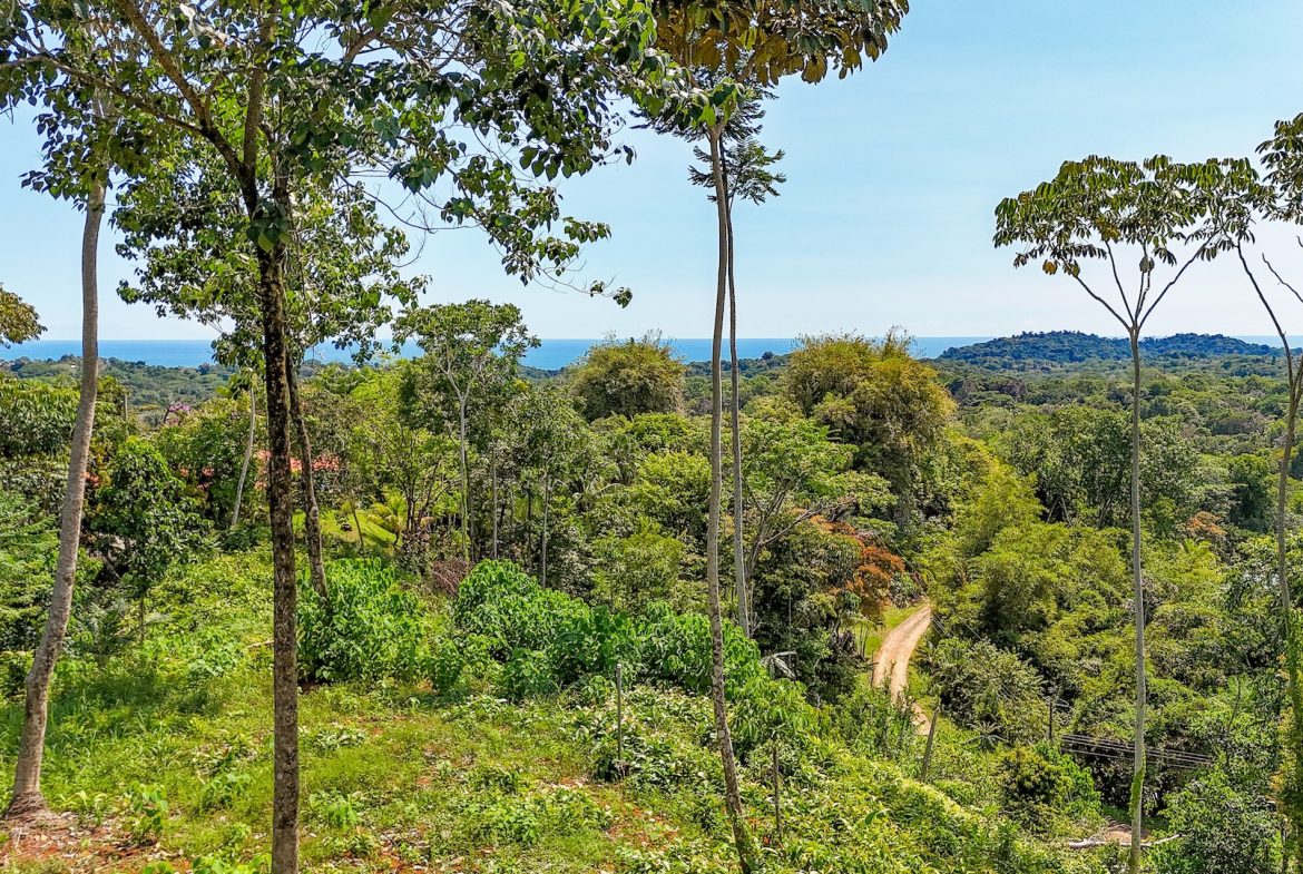 BUILDING PROPERTY WITH MOUNTAIN VIEWS, IN OJOCHAL – 5.75 ACRES