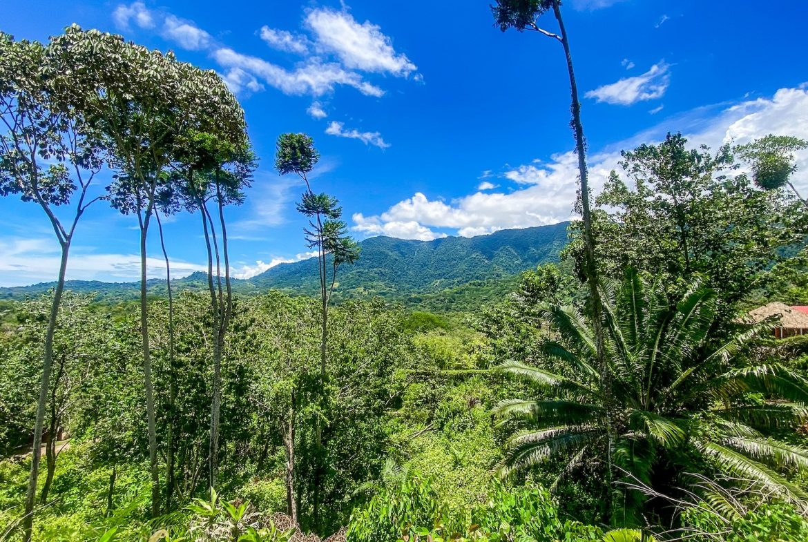 BUILDING PROPERTY WITH MOUNTAIN VIEWS, IN OJOCHAL – 5.75 ACRES