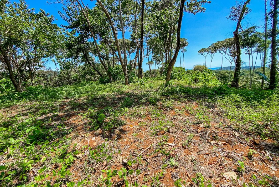 BUILDING PROPERTY WITH MOUNTAIN VIEWS, IN OJOCHAL – 5.75 ACRES