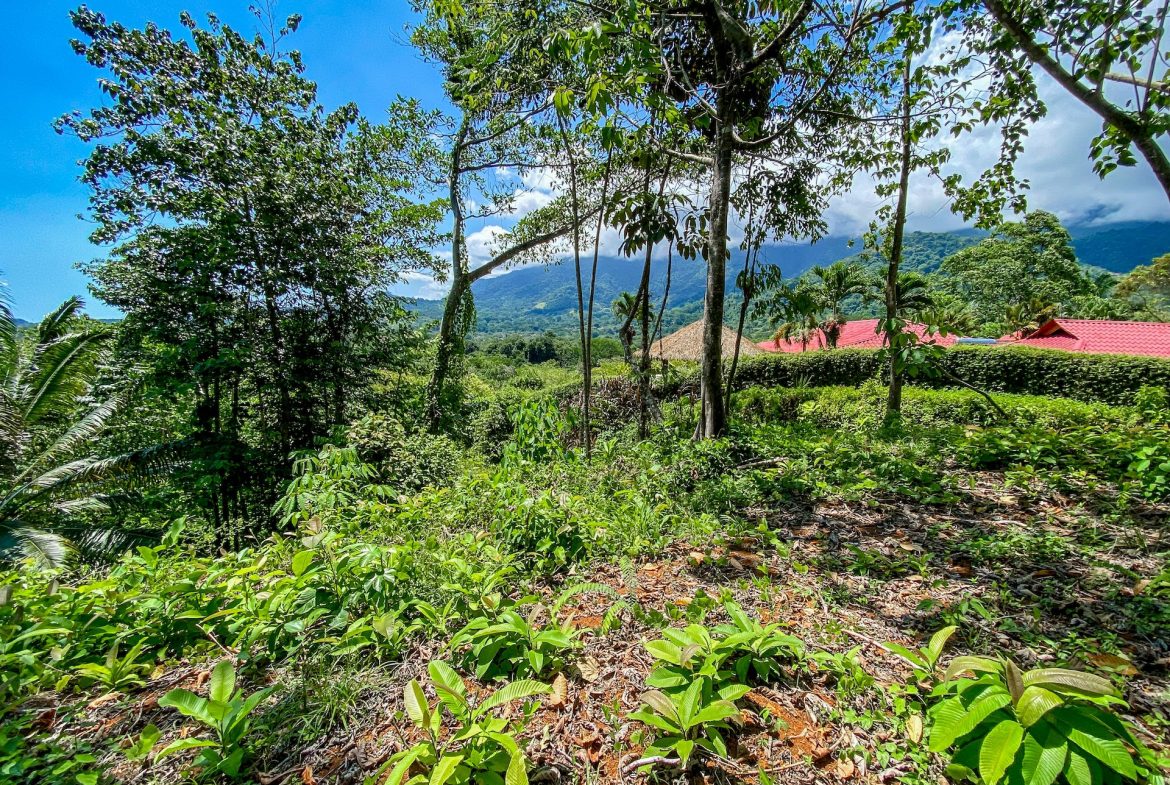 BUILDING PROPERTY WITH MOUNTAIN VIEWS, IN OJOCHAL – 5.75 ACRES