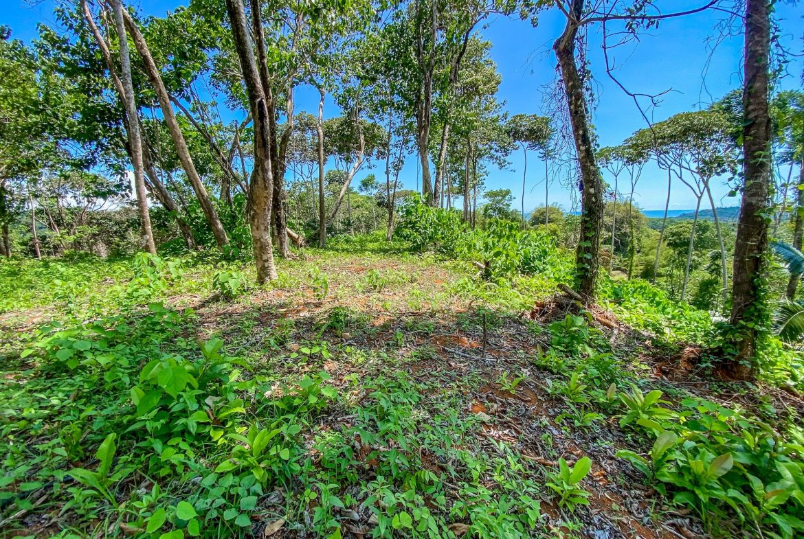 BUILDING PROPERTY WITH MOUNTAIN VIEWS, IN OJOCHAL – 5.75 ACRES