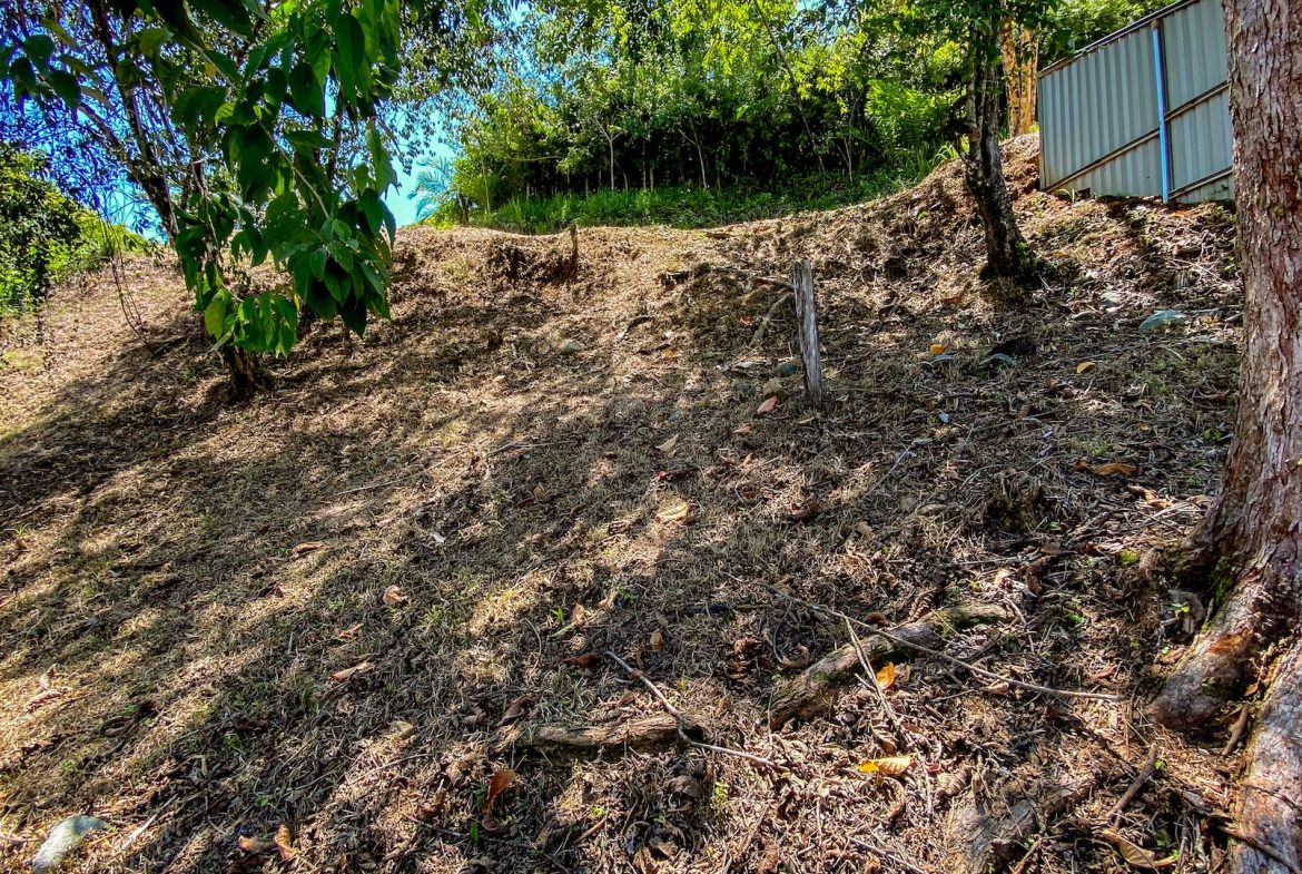 BUILDING PROPERTY WITH CABIN, IN OJOCHAL – 0.36 ACRES