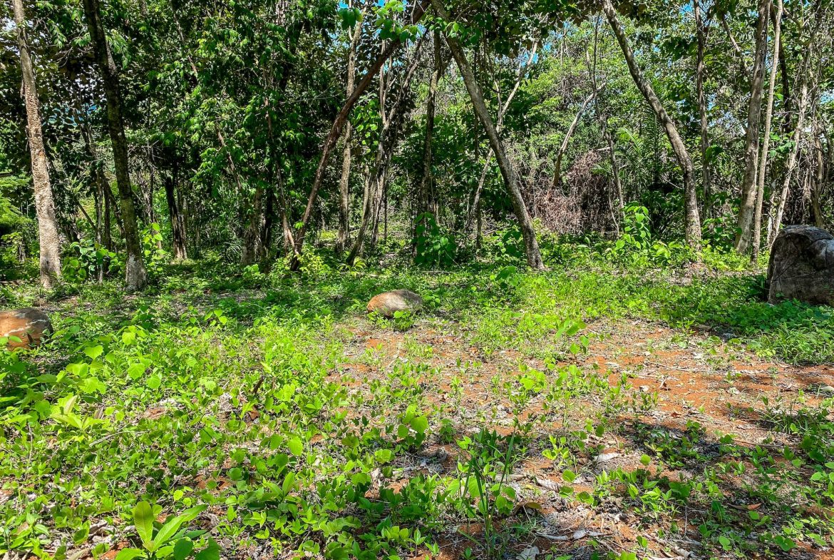 BUILDING PROPERTY WITH MOUNTAIN VIEWS, IN OJOCHAL – 5.75 ACRES