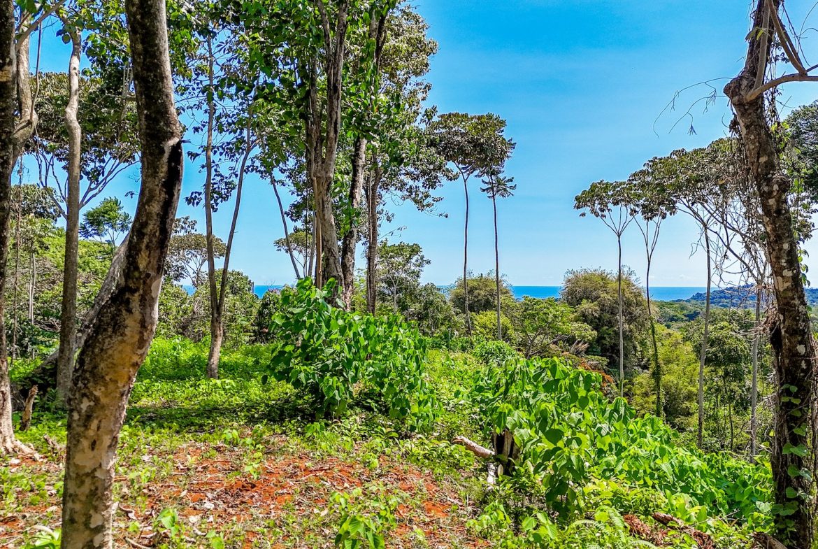 BUILDING PROPERTY WITH MOUNTAIN VIEWS, IN OJOCHAL – 5.75 ACRES