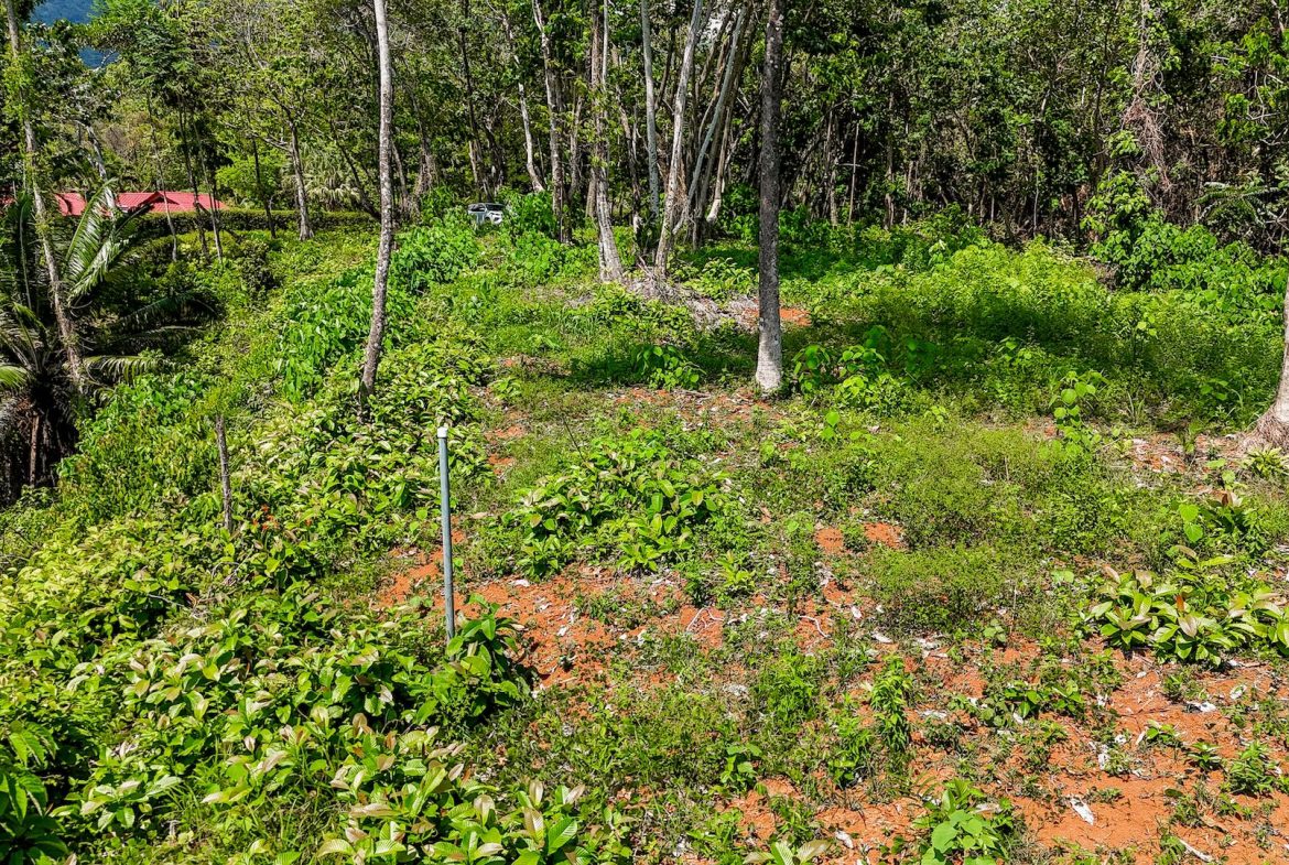 BUILDING PROPERTY WITH MOUNTAIN VIEWS, IN OJOCHAL – 5.75 ACRES
