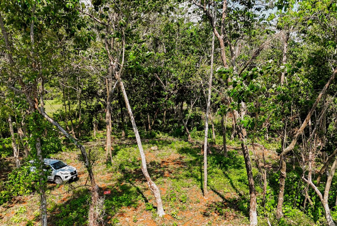 BUILDING PROPERTY WITH MOUNTAIN VIEWS, IN OJOCHAL – 5.75 ACRES
