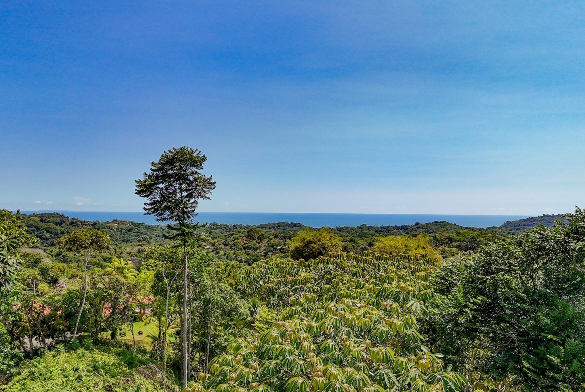 BUILDING PROPERTY WITH MOUNTAIN VIEWS, IN OJOCHAL – 5.75 ACRES
