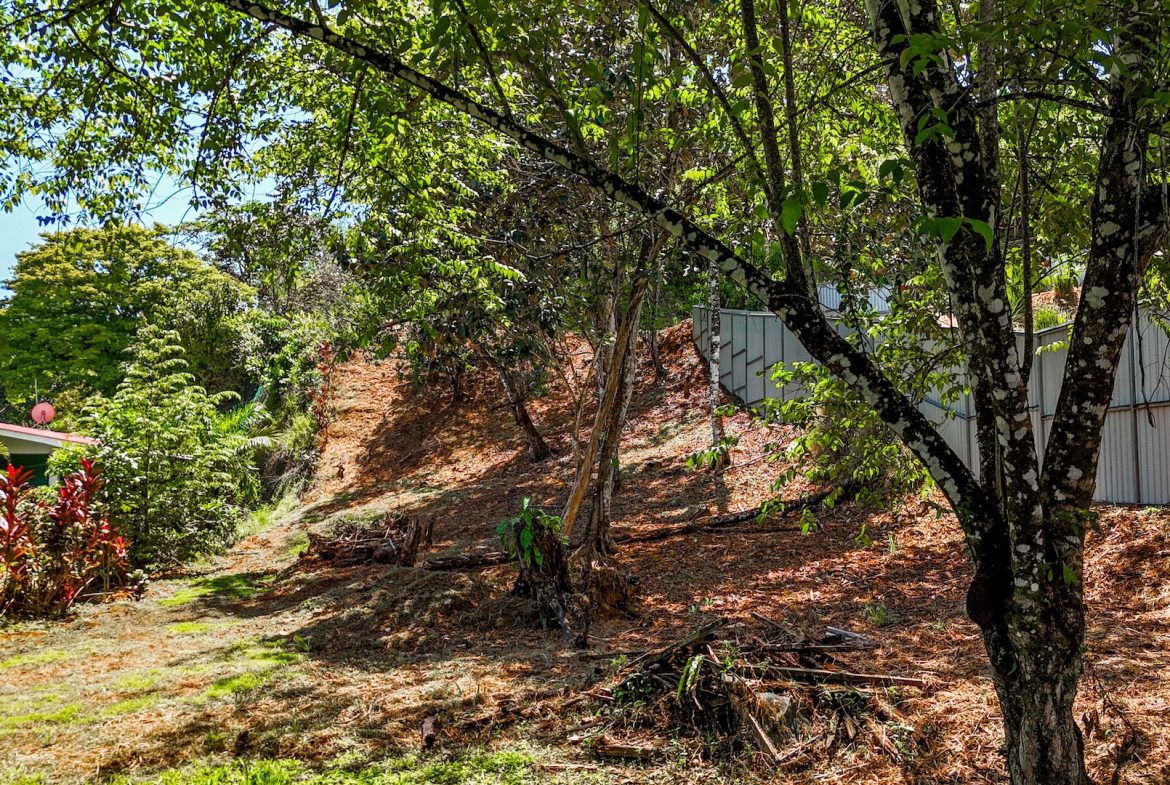 BUILDING PROPERTY WITH CABIN, IN OJOCHAL – 0.36 ACRES
