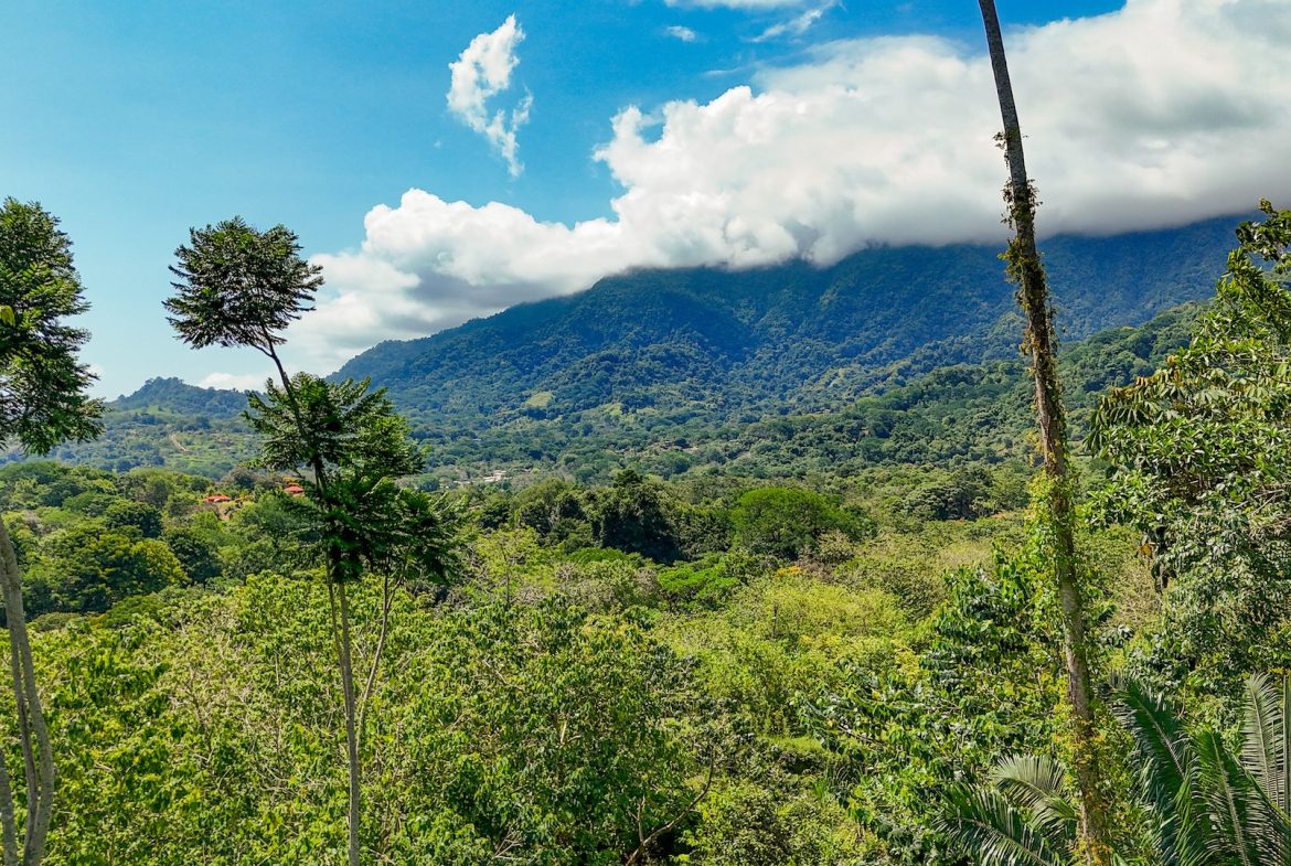 BUILDING PROPERTY WITH MOUNTAIN VIEWS, IN OJOCHAL – 5.75 ACRES