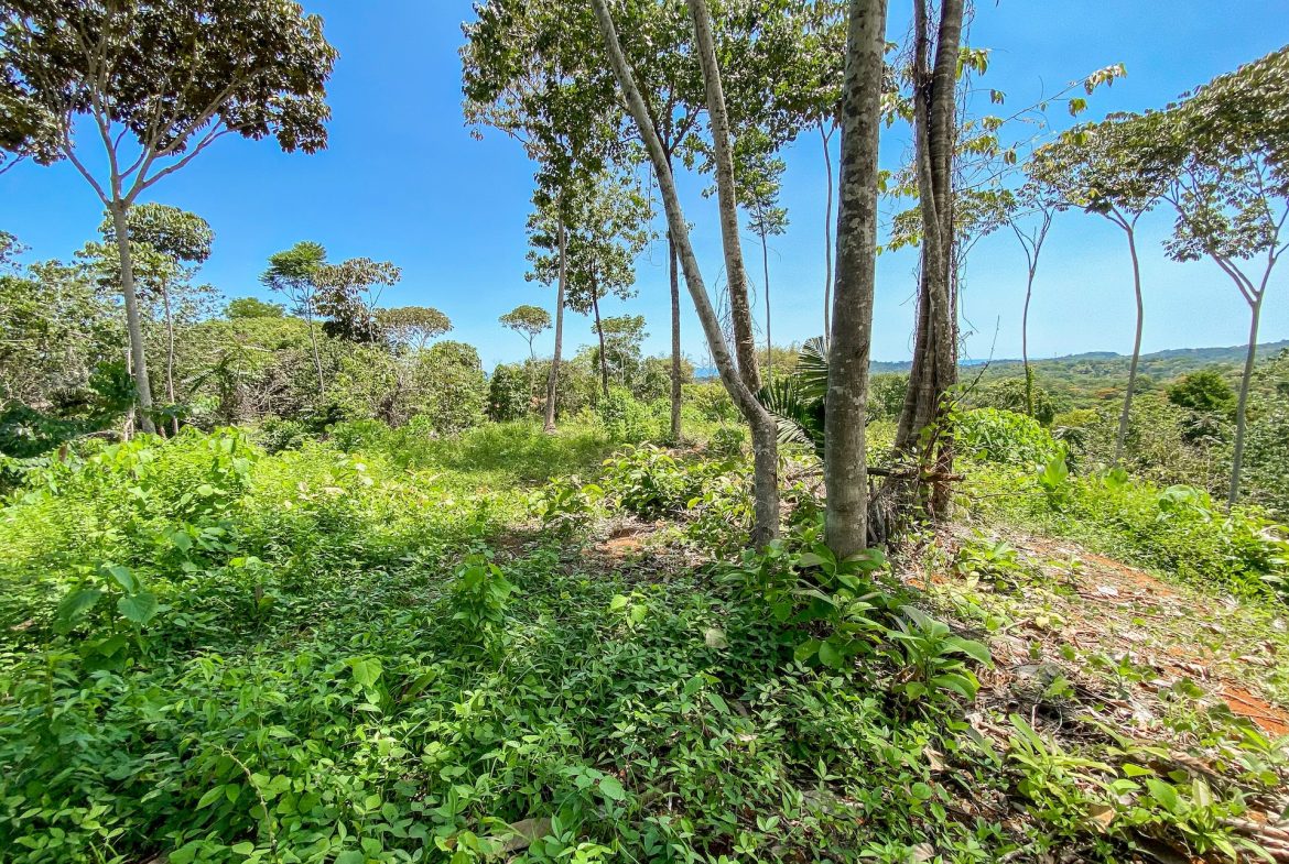 BUILDING PROPERTY WITH MOUNTAIN VIEWS, IN OJOCHAL – 5.75 ACRES