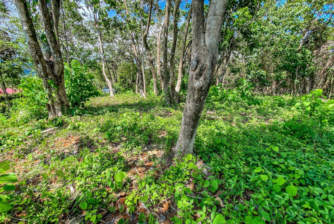 BUILDING PROPERTY WITH MOUNTAIN VIEWS, IN OJOCHAL – 5.75 ACRES