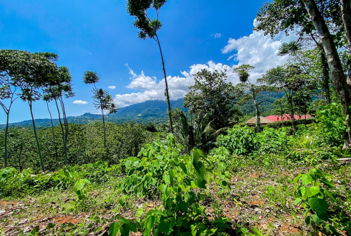 BUILDING PROPERTY WITH MOUNTAIN VIEWS, IN OJOCHAL – 5.75 ACRES