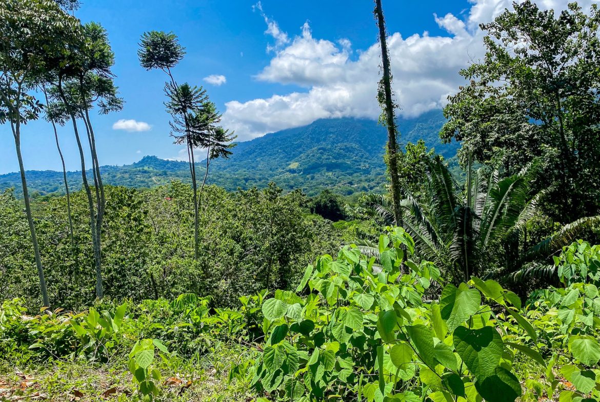BUILDING PROPERTY WITH MOUNTAIN VIEWS, IN OJOCHAL – 5.75 ACRES