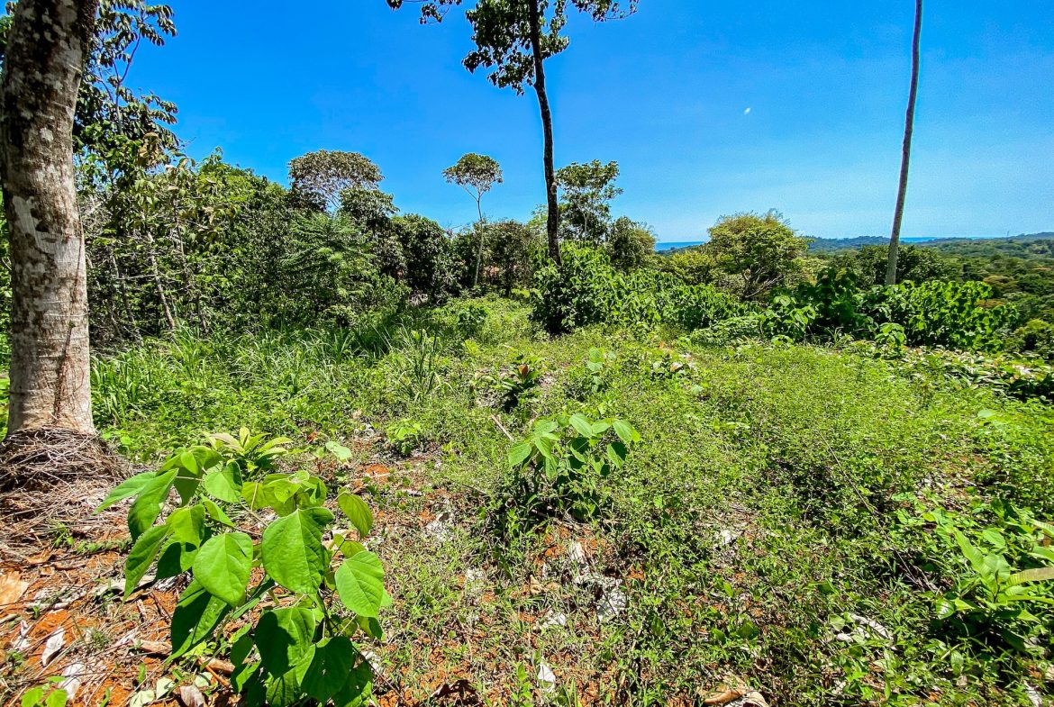 BUILDING PROPERTY WITH MOUNTAIN VIEWS, IN OJOCHAL – 5.75 ACRES